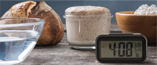 How Sourdough Powders Help Bakers Save Time ?