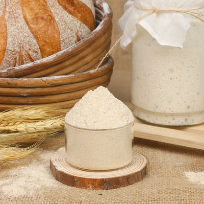 DURUM NATIVE | Durum Wheat Sourdough Powder